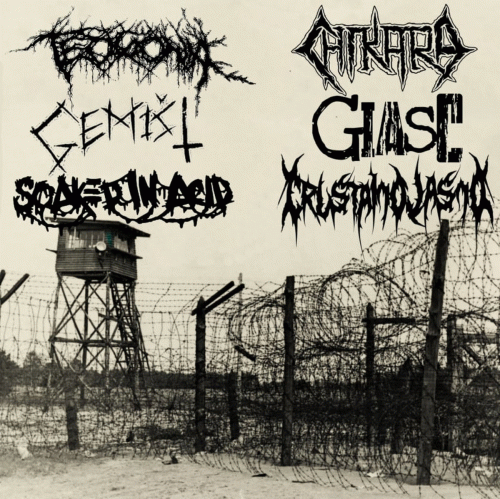 Chikara : Teogonia - Giasc - Chikara - Soaked in Acid - Gemišt - Crustalno Jasno Chikara : Teogonia - Giasc - Chikara - Soaked in Acid - Gemišt - Crustalno Jasno